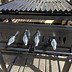 Image result for Open Fire Grilling