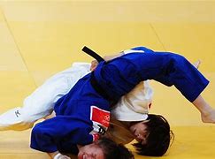 Image result for Japanese Judo