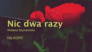 Image result for zdaza