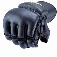 Image result for Harbinger MMA Gloves