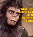 Image result for Planet of the Apes Meme Generator