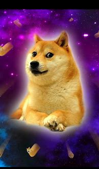 Image result for Doge Galaxy Desktop Backgrounds