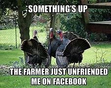 Image result for Big Turkey Meme