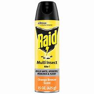 Image result for Raid Bug Spray