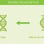 Image result for RT-PCR Protocol