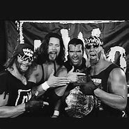 Image result for WCW/NWO Wrestling