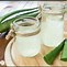 Image result for aloe