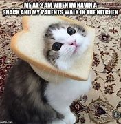 Image result for Cat with Bread Meme