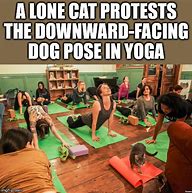 Image result for Yoga Pose Meme