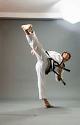 Image result for Jeons World Martial Arts