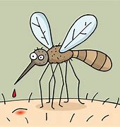 Image result for Malaria Mosquito Cartoon