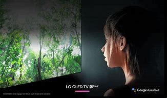 Image result for LG OLED E8