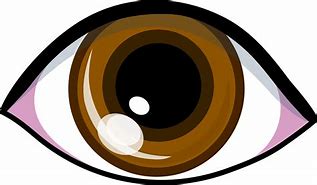 Image result for Animated Brown Eyes