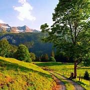 Image result for Green Desktop Wallpaper