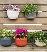 Image result for Flower and Plant Wall Hanging