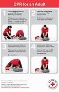 Image result for Large Print First Aid and CPR