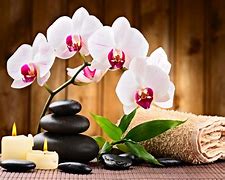 Image result for Spa Relax
