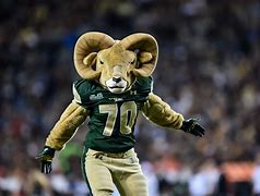 Image result for Colorado State University Rams