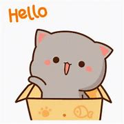 Image result for Cat Saying Hello Meme
