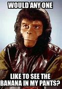 Image result for Planet of the Apes Meme You Fools