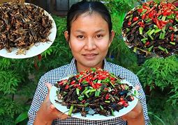 Image result for Cooked Crickets