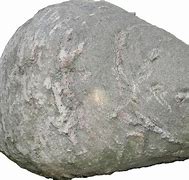 Image result for Piedra PNG