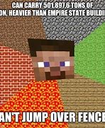 Image result for Minecraft Steve Meme