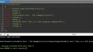 Image result for Perl Programming Language