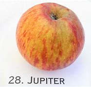 Image result for Jupiter Apple Size