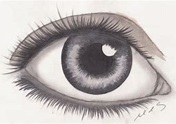 Image result for Eye Sketches Images