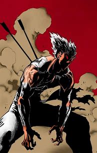 Image result for One Punch Man Characters Garou