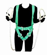 Image result for Double Lanyard Harness