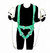 Image result for 2 Lanyard Harness