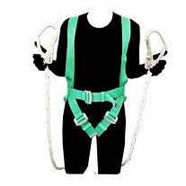 Image result for Full Body Harness with Lanyard