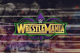 Image result for Brock Lesnar WrestleMania 29