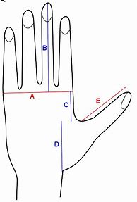 Image result for Inches Measurement