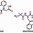 Image result for 21 Amino Acids