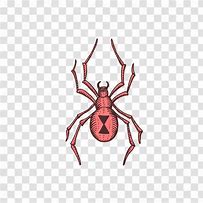 Image result for Redback Spider Cartoon