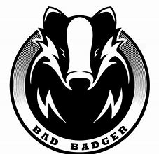 Image result for Breaking Bad Cast Badger