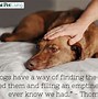 Image result for Shutterfly Loss of Pet Quotes