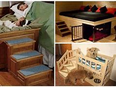 Image result for Amazing Dog Beds