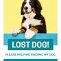 Image result for Lost Pet Poster Creator