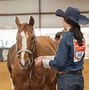 Image result for American Western Horse Bits