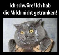 Image result for German Cat Meme