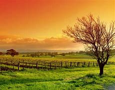 Image result for Fall Field with Sky Background