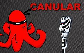 Image result for canular