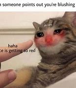 Image result for Crying Ginger Cat Meme