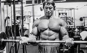 Image result for Arnold Schwarzenegger Steroid Use