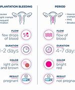 Image result for Early Pregnancy Bleeding vs Period
