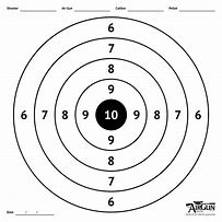Image result for Shooting a Target Rifle